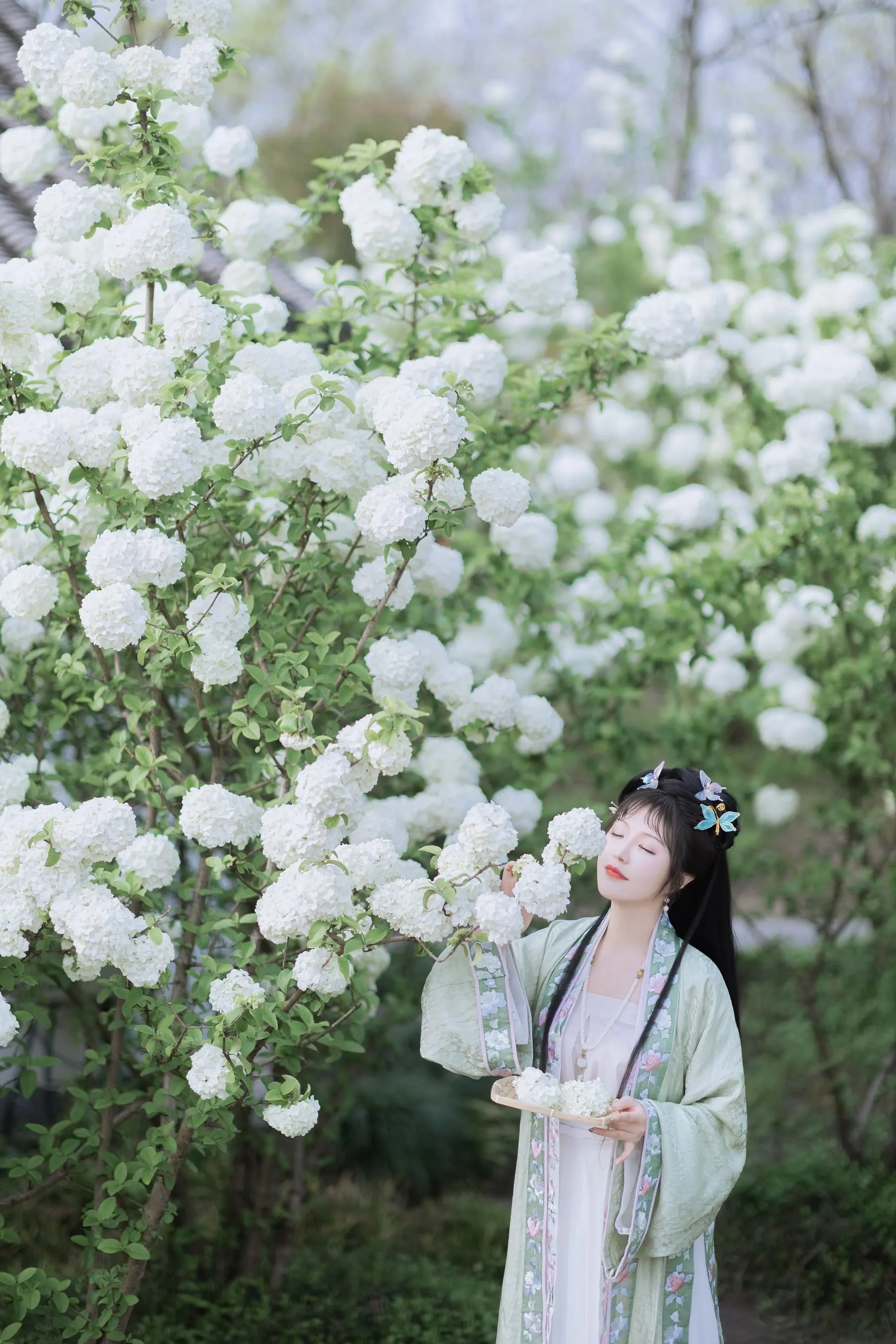 [艺图语] 2022.06.09 探春 璐璐haley [42P]插图5